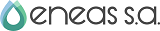 Logo ENEASA
